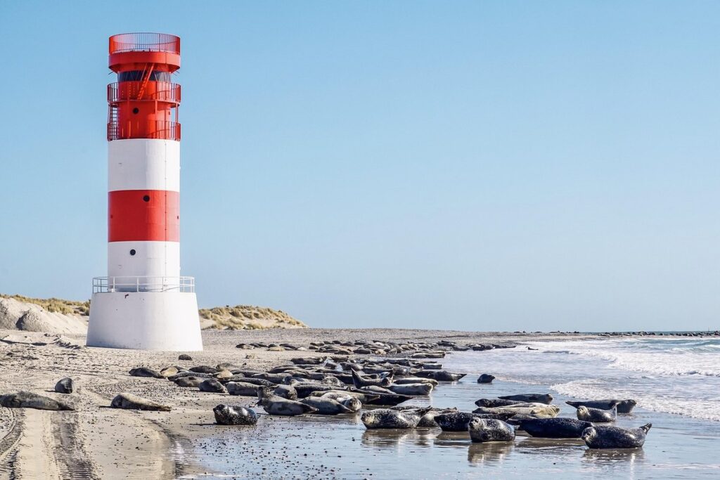 Que faire au Cap Ferret ? Nos incontournables sur la presqu'île